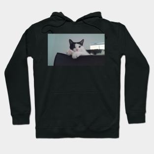 Black and white cat Hoodie